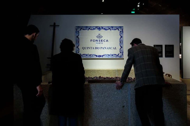 Porto: Port Cellar Visit and Wine Tasting at Fonseca - Views, timing, and how to fit it into a Porto day
