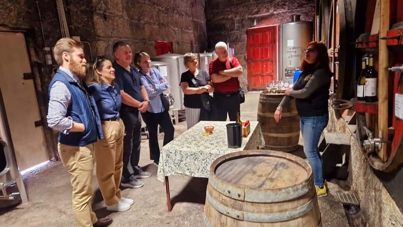 Porto: Premium Douro Valley Small-Group Tour, Cruise & Lunch - Why this Porto to Douro day feels premium, and still relaxed