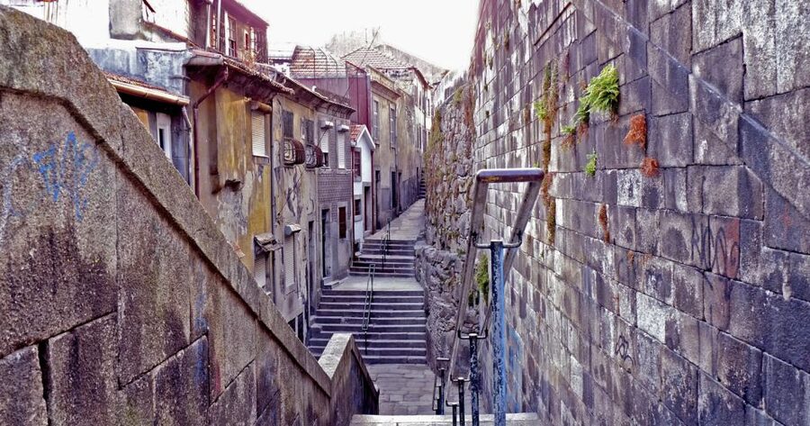 Porto: Private Bike Tour with a Local Guide - Porto City Park: where the ride turns into a pleasant detour