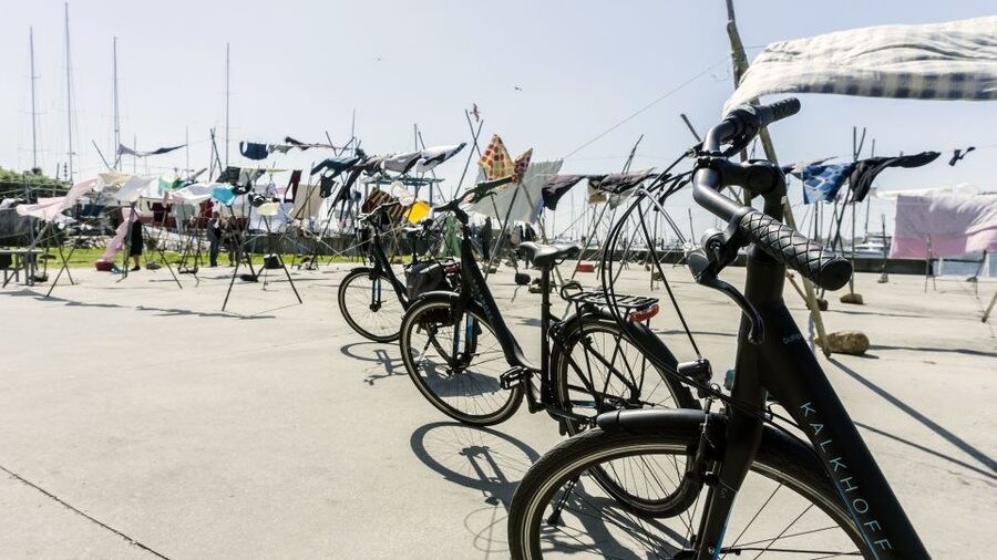 Porto Private E-Bike Tour: Douro River, Parks & Beaches - The city-park finish: Parque da Cidade do Porto and Pasteleira Park