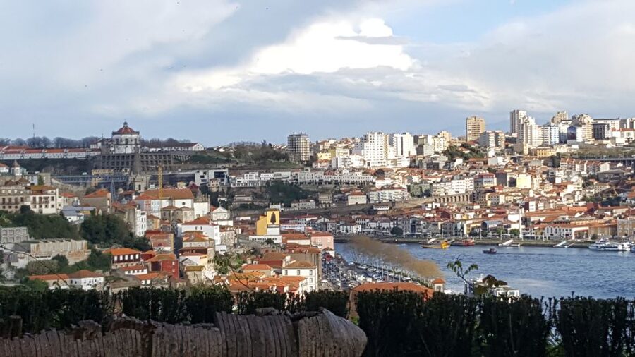 Porto: Private Half-Day as a Local Experience - Monasteries, courtyards, and the Jardim do Passeio Alegre coffee pause
