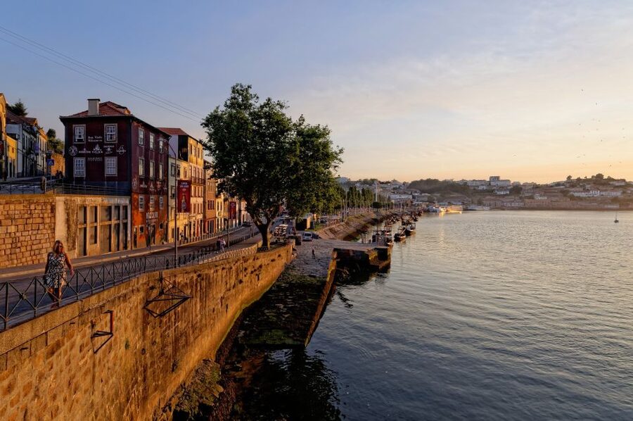 Porto Private Half Day Walking Tour: Cruise & Wine Tasting - Meeting Point: Finding Praça de Gomes Teixeira Without Stress