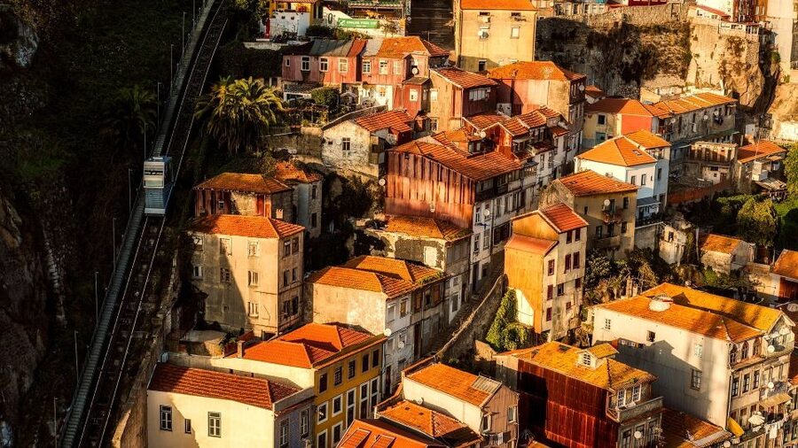 Porto Private Half Day Walking Tour: Cruise & Wine Tasting - Vila Nova de Gaia Wine Cellar: How to Get More From the Tasting