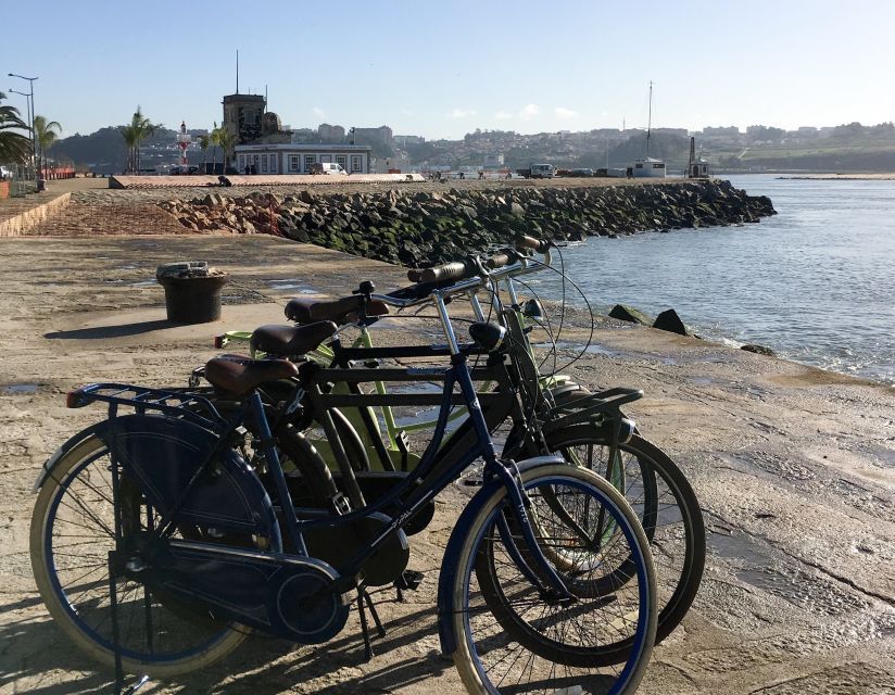 Porto: Riverside Panoramic E-Bike Tour - Parque da Cidade do Porto: two parks, one calm finish