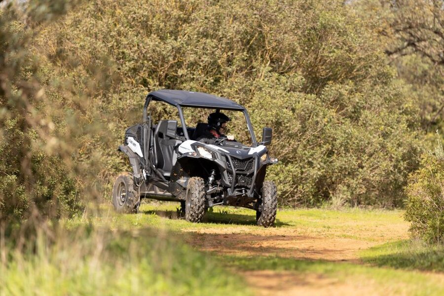 Porto Santo: 180 Minutes Off-Road Buggy Tour - Key things you’ll notice on this Porto Santo buggy tour
