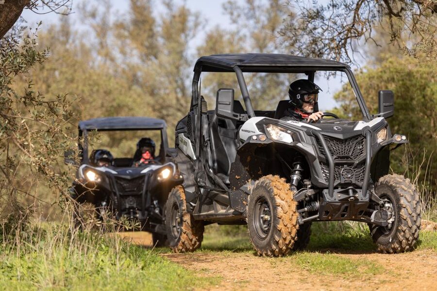 Porto Santo: 180 Minutes Off-Road Buggy Tour - What the reviews consistently get right: guides, pacing, and photo stops