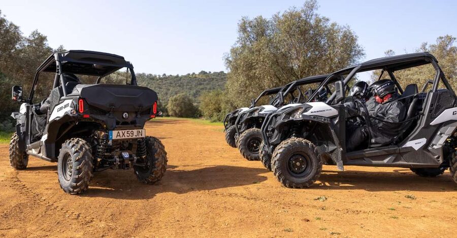 Porto Santo: 180 Minutes Off-Road Buggy Tour - Miradouro da Portela: where the views start doing the talking