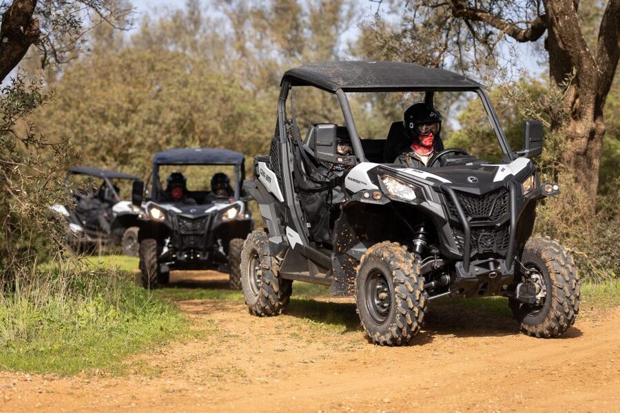 Porto Santo: 180 Minutes Off-Road Buggy Tour - Dunas de Porto Santo: the best place to feel the island’s contrast