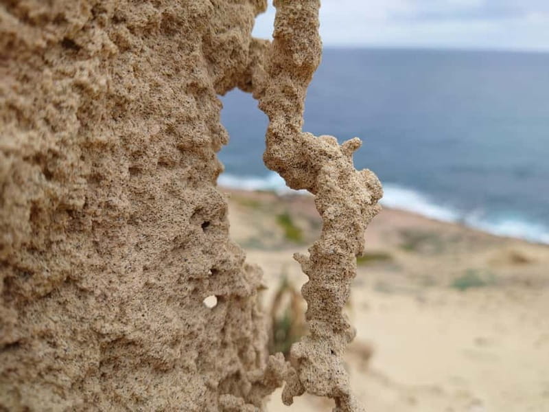 Porto Santo: Island Highlights 4x4 Tour with Hotel Transfers - Pico das Eiras and Ana Ferreira Peak: The Organ Pipes view