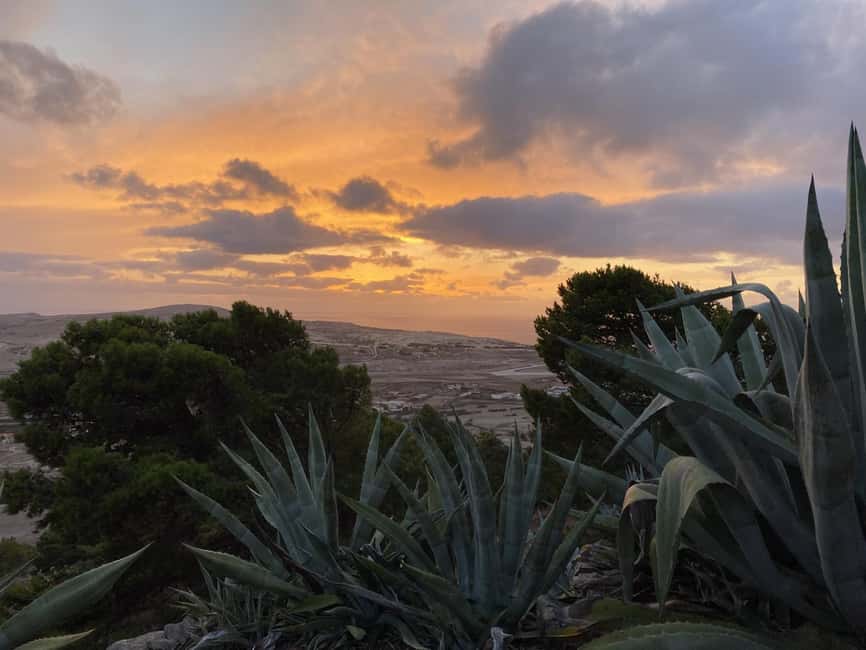 Porto Santo, Photographic Whole Island Tour - Should you book the Porto Santo whole-island photo tour?