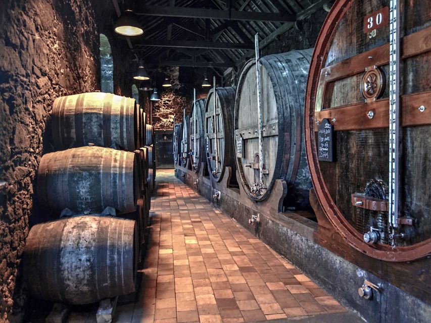 Porto: Self-Guided Bike and Boat Tour with Port Wine Tasting - Natural Reserve of the Douro Estuary: Cycling the Gaia Side of the Story
