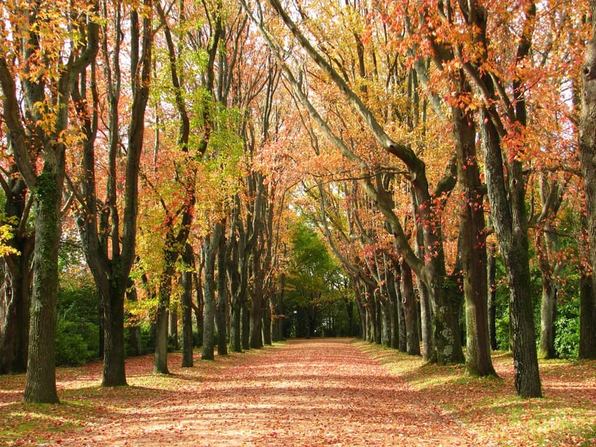 Porto: Serralves Foundation All Access Pass - Who this pass is best for (and who might want a different plan)