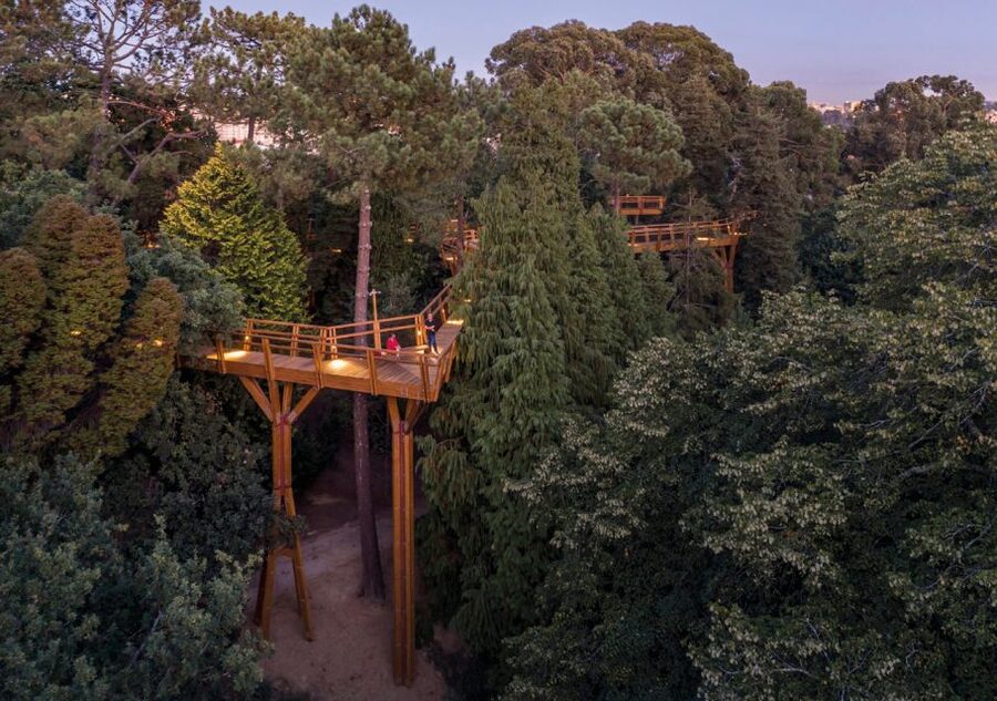 Porto: Serralves Park Entry Ticket - Biodiversity you can count: 230 varieties across 8,000 plants