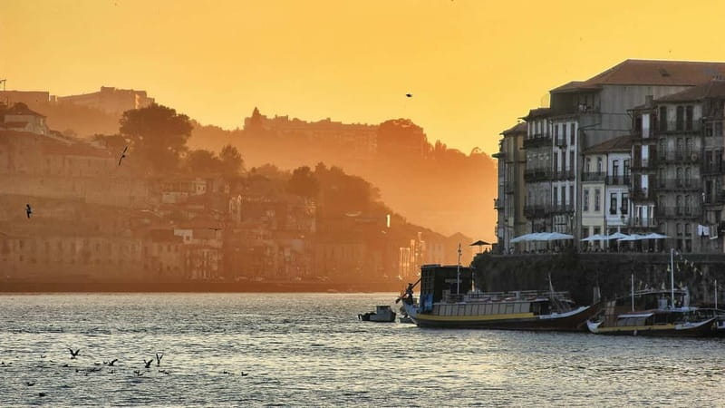 Porto: Sunset Cruise on the Douro River & Iconic Bridges - Who this cruise suits best (and who might skip it)