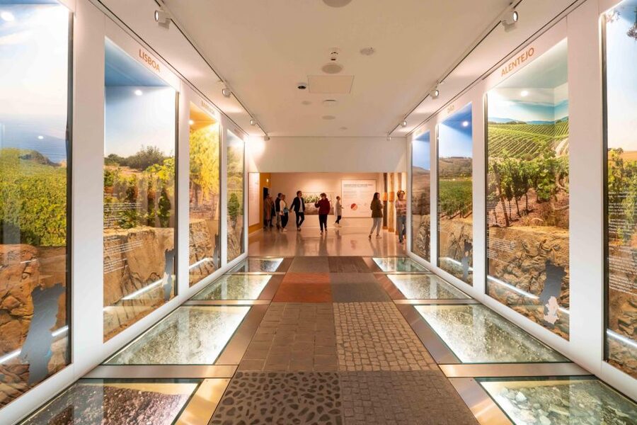 Porto: Taylor’s Port Cellar Tour & WOW Museum Pack - Key takeaways before you go
