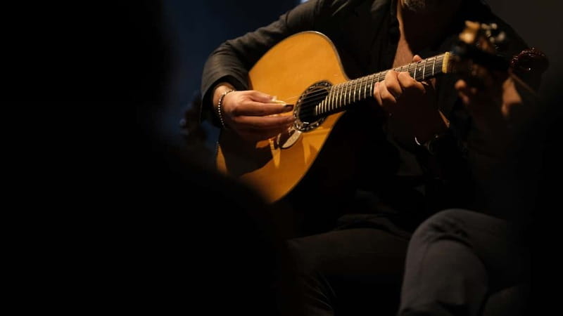 Porto: The highest-rated traditional fado concert (downtown) - The One-Hour Flow: About 12 Fados and 2 Instrumentals