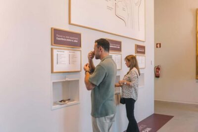 The Wine Experience, Best Wine Museum in the World