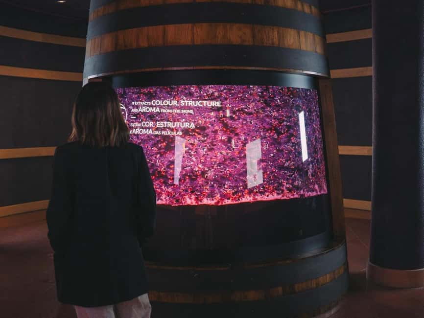 Porto: The Wine Experience, Best Wine Museum in the World - The guided tasting: red, white, and port without the pressure
