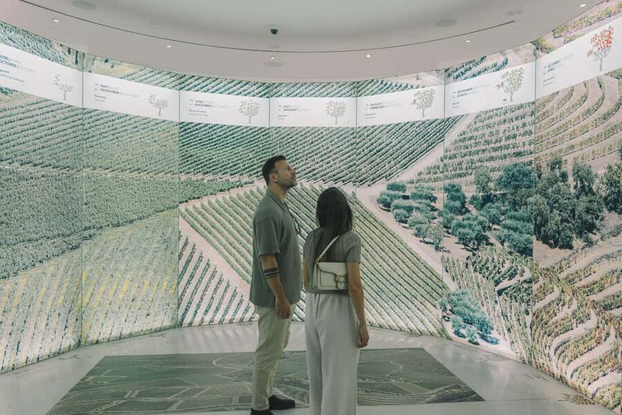 Porto: The Wine Experience, Best Wine Museum in the World - Value check: is $29 per person actually a good deal?