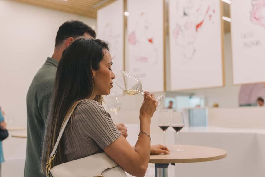 Porto: The Wine Experience, Best Wine Museum in the World - Who should book this wine museum in Porto?