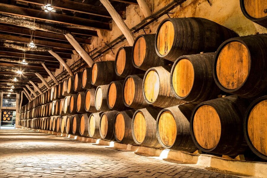 Porto: Tuk-Tuk Tour, Douro River Cruise, and Wine Tasting - Should You Book? My honest take