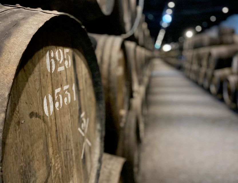 Porto: Wine Tasting with Tapas Walking Tour - Should you book Porto Wine Tasting with Tapas Walking Tour?