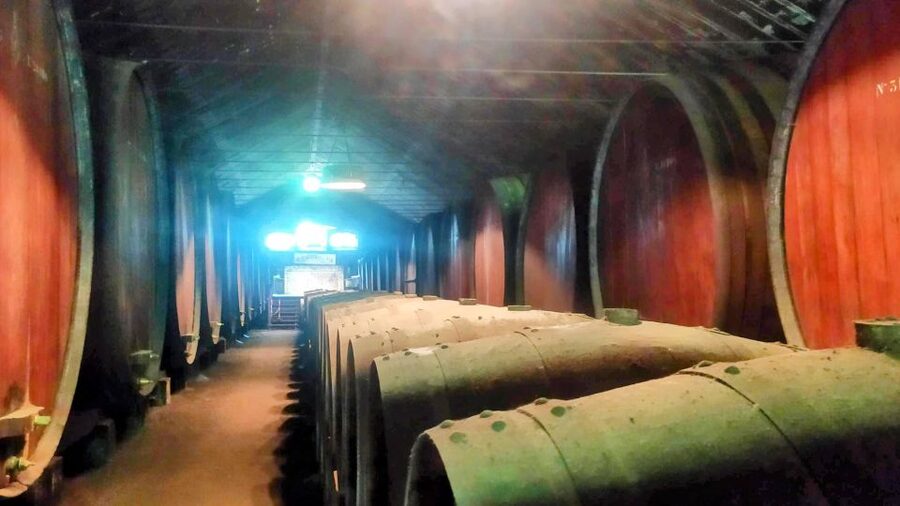 Portuguese Wine History & Amazing Landscape - Vasco da Gama Bridge to Palmela Castle: Moorish Roots and Big Water Views