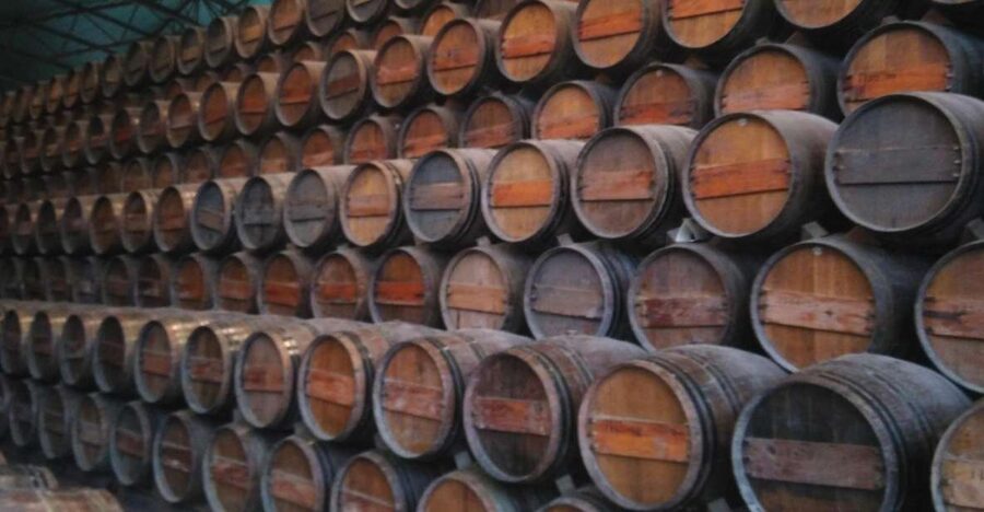 Portuguese Wine History & Amazing Landscape - Palmela Village to JMF Cellars: How Moscato Gets a Regional Identity