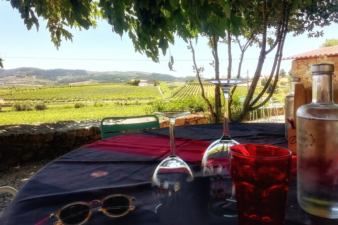 Premium Douro Valley Small-Group Tour, Wine Tasting, Lunch & Boat - Porto Pickup to Douro Valley Views, Without the Stress