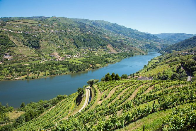 Premium Douro Valley Small-Group Tour, Wine Tasting, Lunch & Boat - Wine, Food, and Pacing: What the Schedule Feels Like
