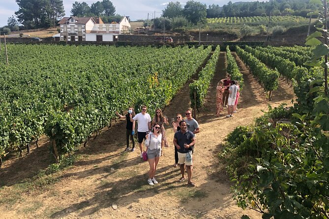 Premium Douro Valley Small-Group Tour, Wine Tasting, Lunch & Boat - Pinhão Village Notes and the One-Hour Wooden Boat Ride