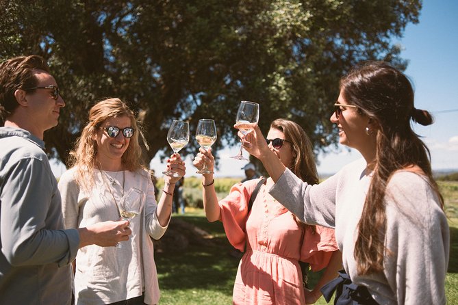 Premium Vineyard Tour & Tasting - Key Points You’ll Want to Know First