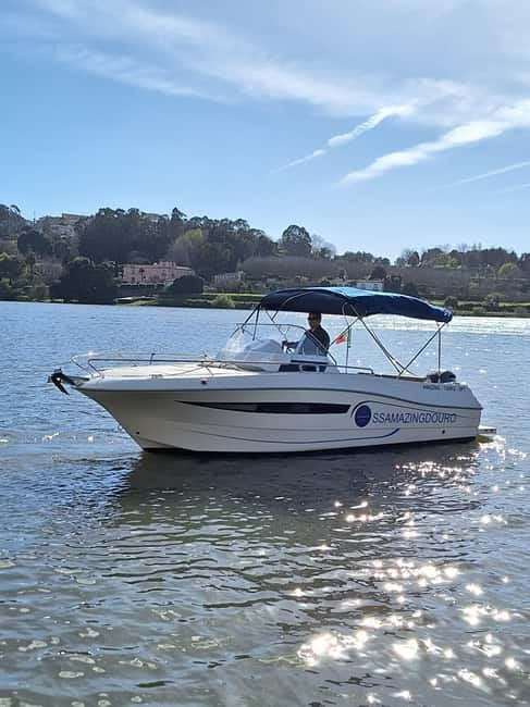 Private Boat Tour in Porto with Portuguese Tapas Option - Key things I’d plan around
