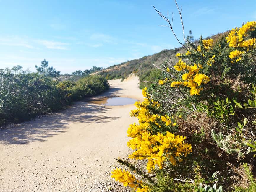Private Jeep tour to Espichel Mysteries and Wild Beaches - Why this Jeep day feels different from a typical coast tour