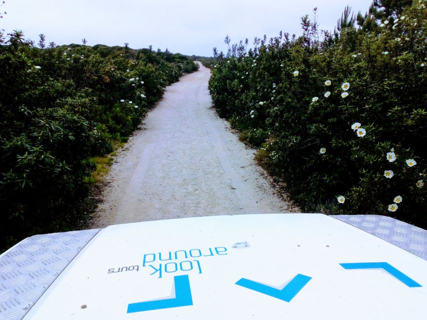 Private Jeep tour to Espichel Mysteries and Wild Beaches - Sesimbra finish: guided sightseeing, time to breathe, and lunch options