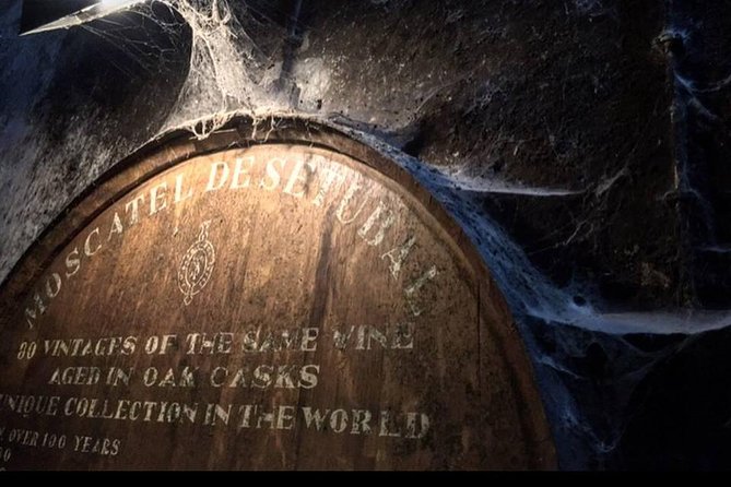 Private Lisbon Arrabida Wine Tour: Food & Wines, Mountain and Sea - Lisbon to Arrábida: A 7-Hour Plan Built for Variety, Not Hurry