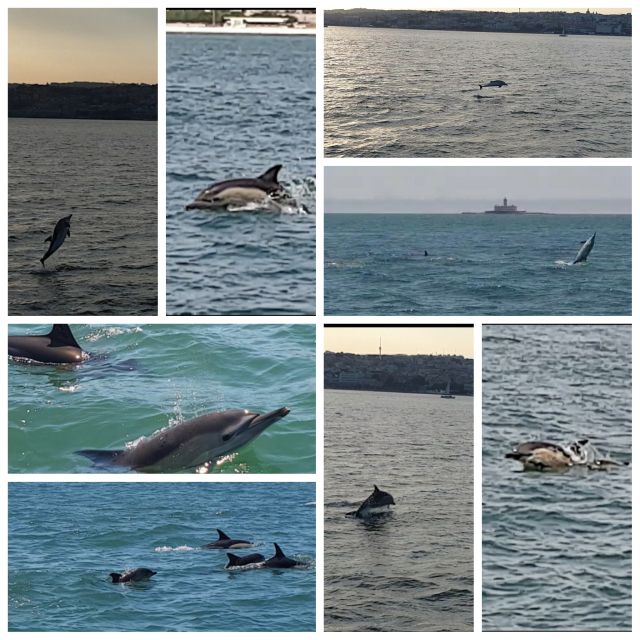 Private Lisbon Sightseeing Sailing Boat Tour with Locals - Alcântara, the Bridge Moment, and Passing Cristo Rei From the Water