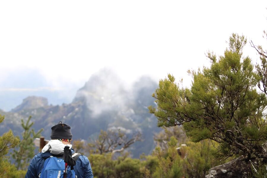 Private Sunrise Hike to Pico Ruivo with Hotel Pickup - Price and Value: What $94 Buys You in Real Terms