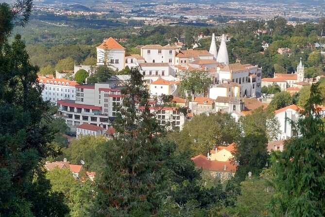 Private Tour Sintra, Palaces and Mountain Tuk Tuk(2 to 6 people) - Why Sintra feels easier by tuk tuk