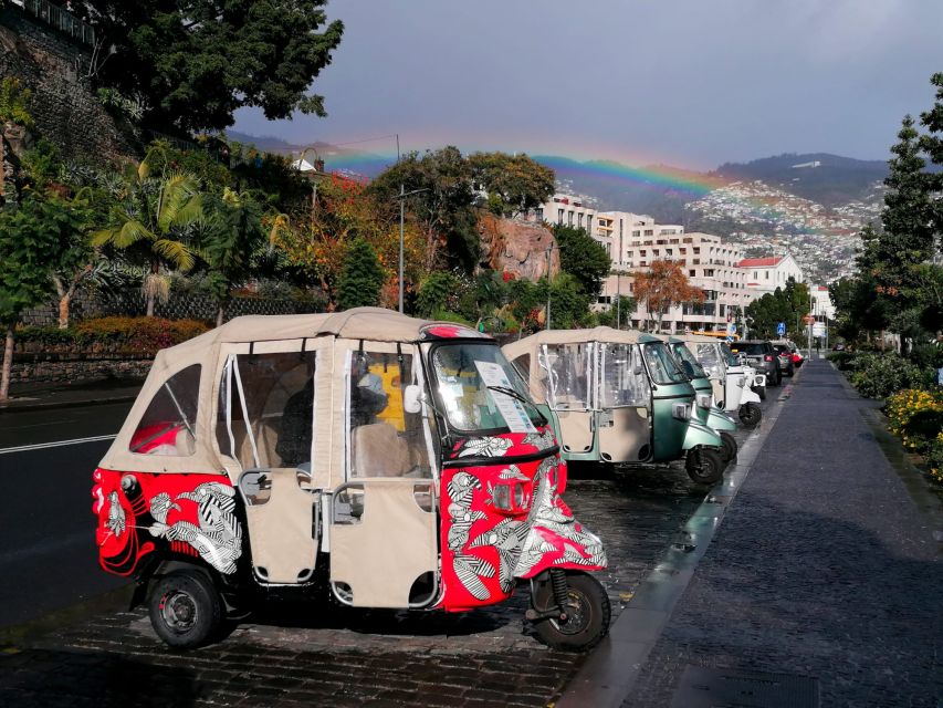 Private tour:Tuk Tuk Ride to Monte Funchal Toboggans - Why Monte Toboggans Feel Like Madeira in One Short Trip