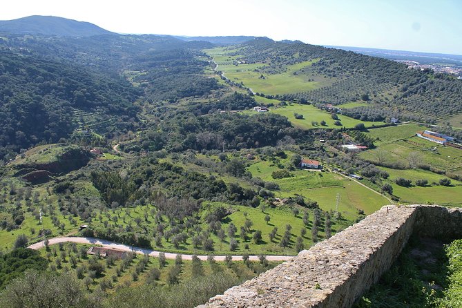 Private Wine Tasting in the Setúbal Wine Region, from Lisbon - Pickup, timing, and how the day stays smooth