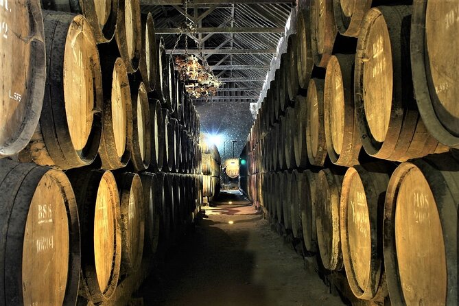 Private Wine Tasting in the Setúbal Wine Region, from Lisbon - Stop-by-stop: Fonseca, Alcube, and the family cellar mix