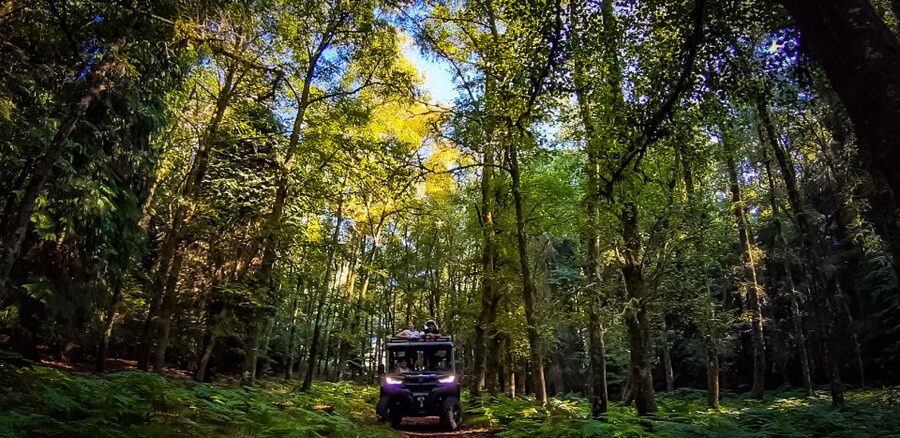 Prozelo: Buggy Tour - Price and value, what $163 per group really buys you