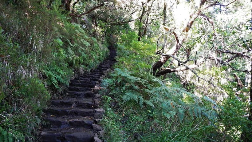 Rabaçal: 25 Fontes & Risco Levada Hiking Transfer - Why Rabaçal 25 Fontes and Risco Is worth the early start