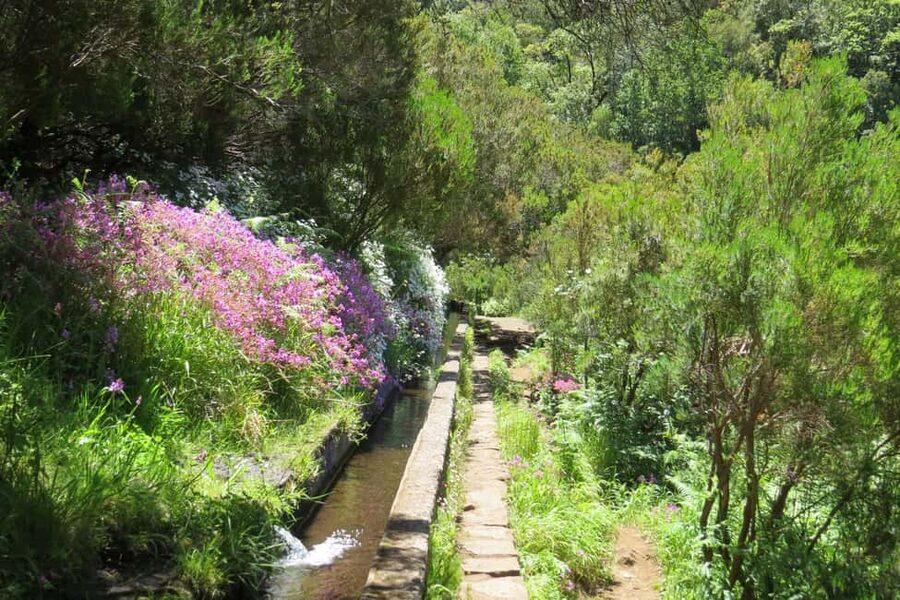 Rabaçal: 25 Fontes & Risco Levada Hiking Transfer - Forest fee and the timing slot you must pick