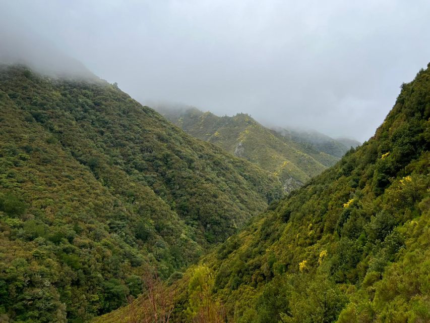 Rabaçal: 25 Fontes & Risco Levada Hiking Transfer - The transfer game plan: van pick-up, small group size, and less stress