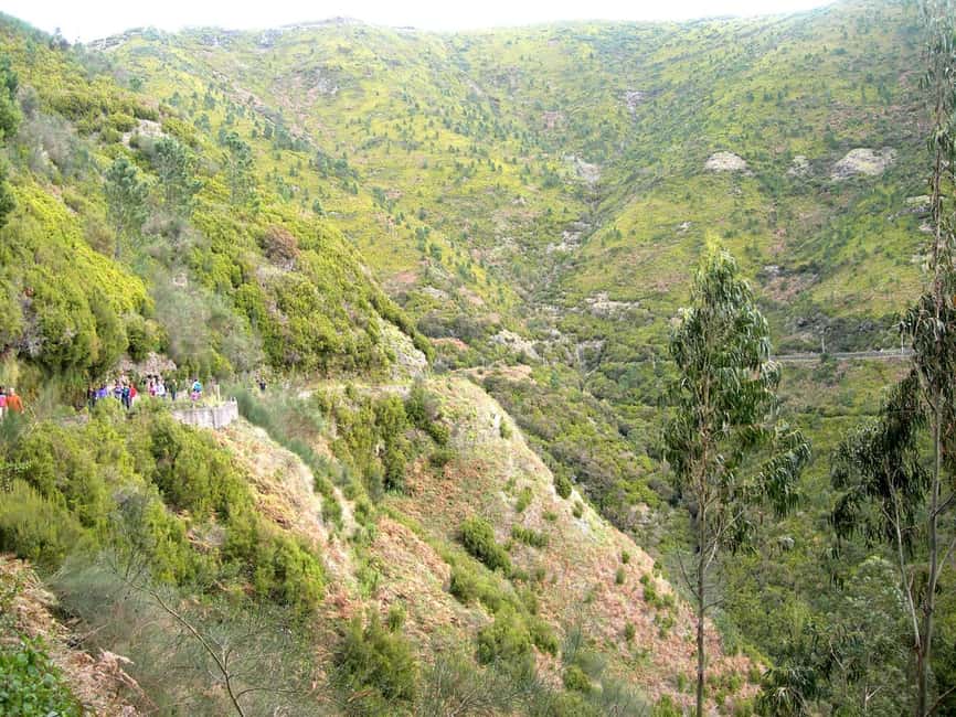Rabaçal: 25 Fontes & Risco Levada Hiking Transfer - First leg in Rabaçal: Laurisilva forest time and waterfall mood