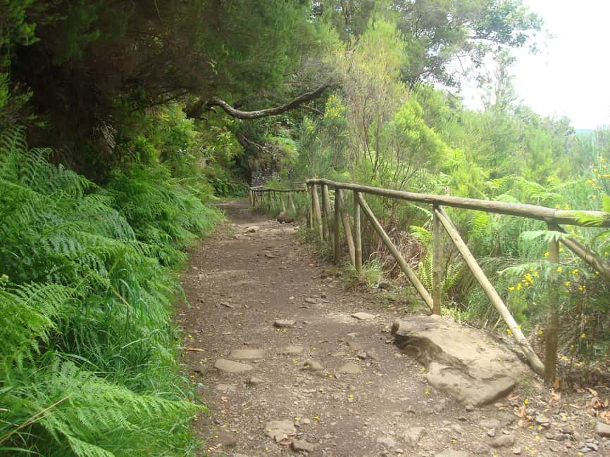 Rabaçal: 25 Fontes & Risco Levada Hiking Transfer - Timing inside the 5-hour hiking window