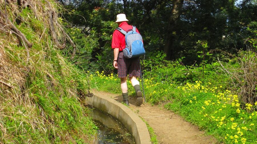 Referta / Castelejo - Levada Walk - Referta to Castelejo: why this Madeira levada hike feels so doable