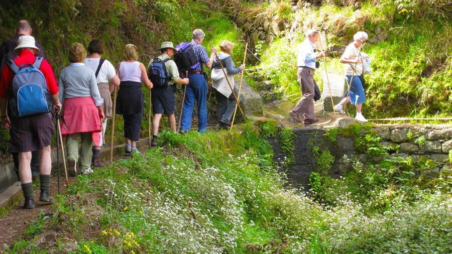 Referta / Castelejo - Levada Walk - Walking the levada: where the plants and small surprises make the time fly
